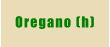 Oregano (h)