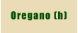 Oregano (h)